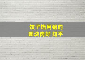 饺子馅用猪的哪块肉好 知乎